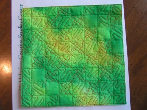 Fiber Exchange and Level I Experimental Machine Stitch