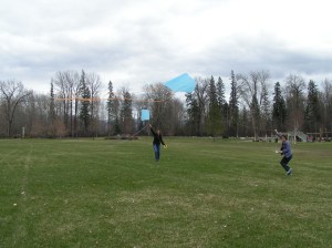 MINOLTA DIGITAL CAMERA