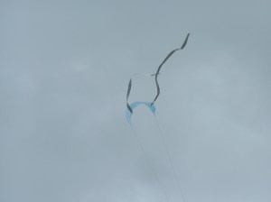 MINOLTA DIGITAL CAMERA