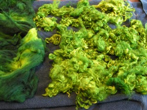 MINOLTA DIGITAL CAMERA