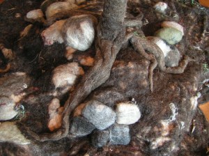 close up rocks and roots