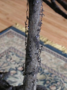 MINOLTA DIGITAL CAMERA