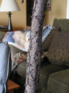 MINOLTA DIGITAL CAMERA