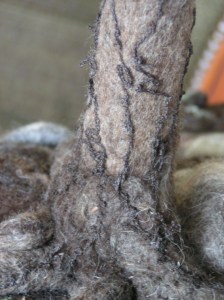 MINOLTA DIGITAL CAMERA