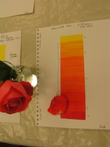 MINOLTA DIGITAL CAMERA