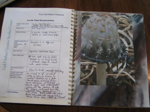 MINOLTA DIGITAL CAMERA