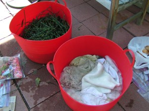 MINOLTA DIGITAL CAMERA