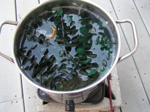 MINOLTA DIGITAL CAMERA