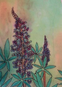 Lupines