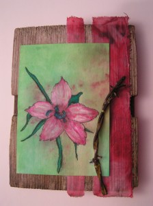 Botanical Series - Mountain Pink