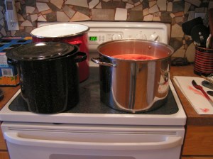 Three Dye Pots Going