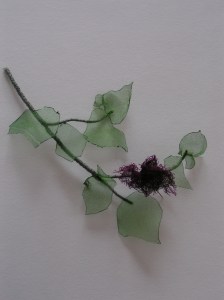 MINOLTA DIGITAL CAMERA