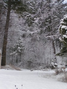 MINOLTA DIGITAL CAMERA