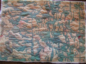 Complete Free Motion Quilting