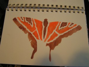 MINOLTA DIGITAL CAMERA