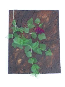 MINOLTA DIGITAL CAMERA