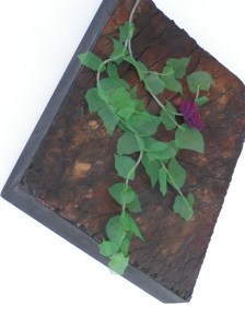 MINOLTA DIGITAL CAMERA