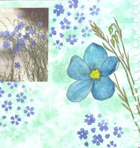 Sketchbook Blue Flowers