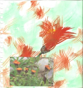 Sketchbook Orange Flowers