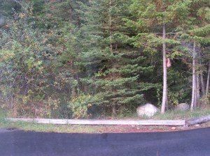 MINOLTA DIGITAL CAMERA