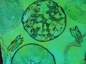 MINOLTA DIGITAL CAMERA