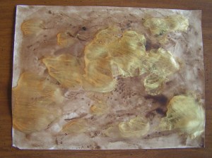 MINOLTA DIGITAL CAMERA