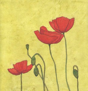 Sketchbook - Poppies