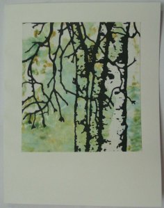 Birch Card
