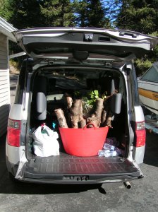 Car packed and ready to go