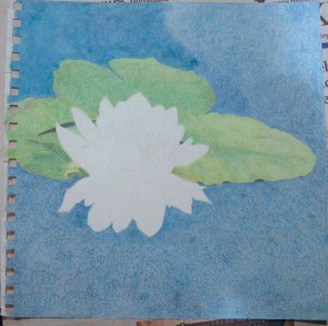 Blending Colored Pencils